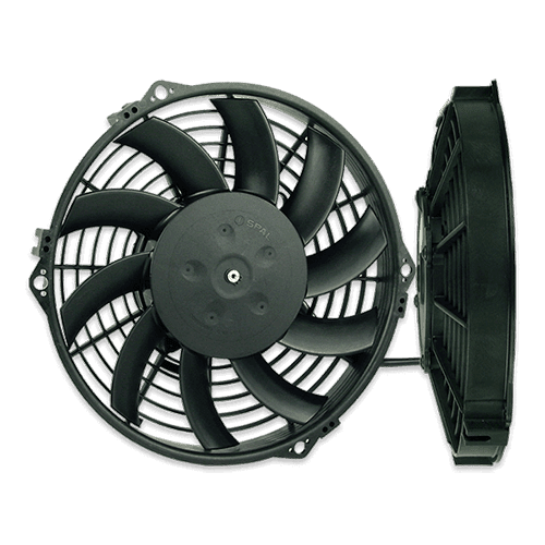 Fan