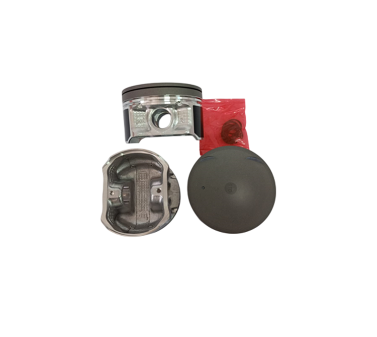 Xtraıl T.30 2.5L Piston Takımı STD 89.00Mm 01-05 Benzinli Qr25De