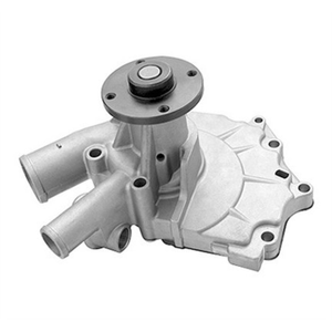 Devirdaim Su Pompası Vanetta Cargo 2.3C 96-01 Ld23 Gwn-62A